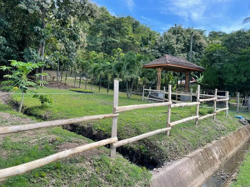 Land For Sale in Paquera, photo 3