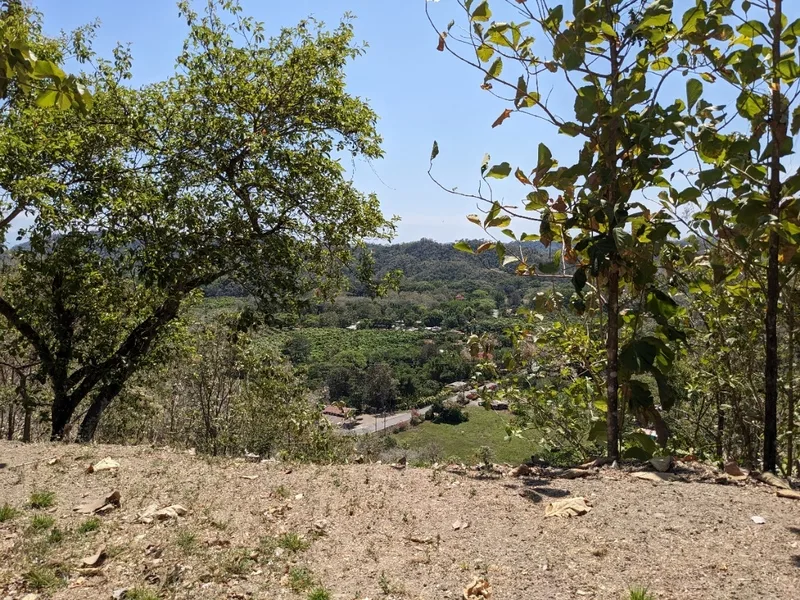 Land For Sale in Paquera, photo 4