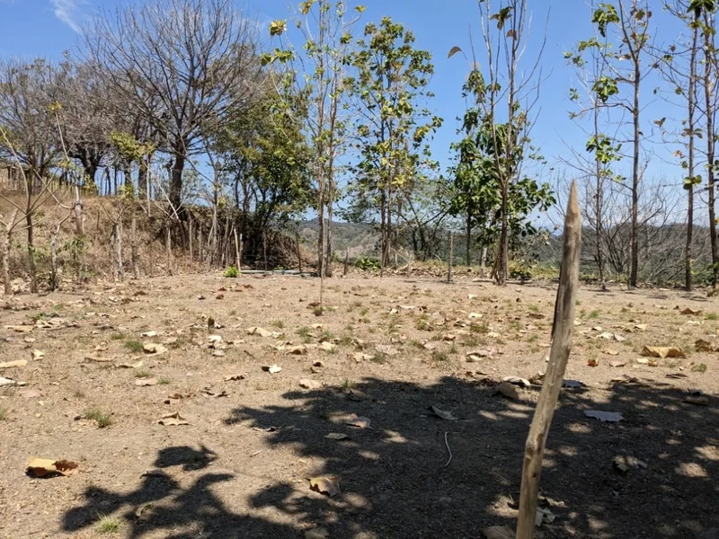 Land For Sale in Paquera, photo 5