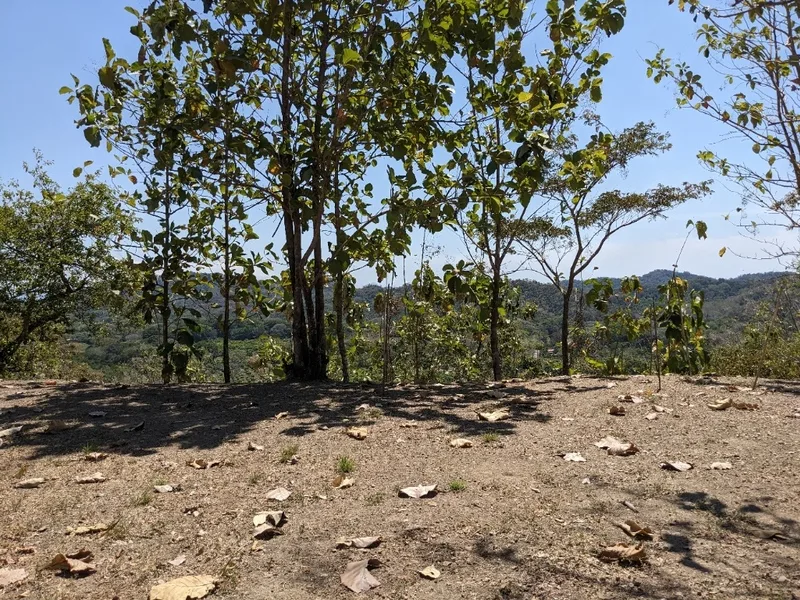 Land For Sale in Paquera, photo 6