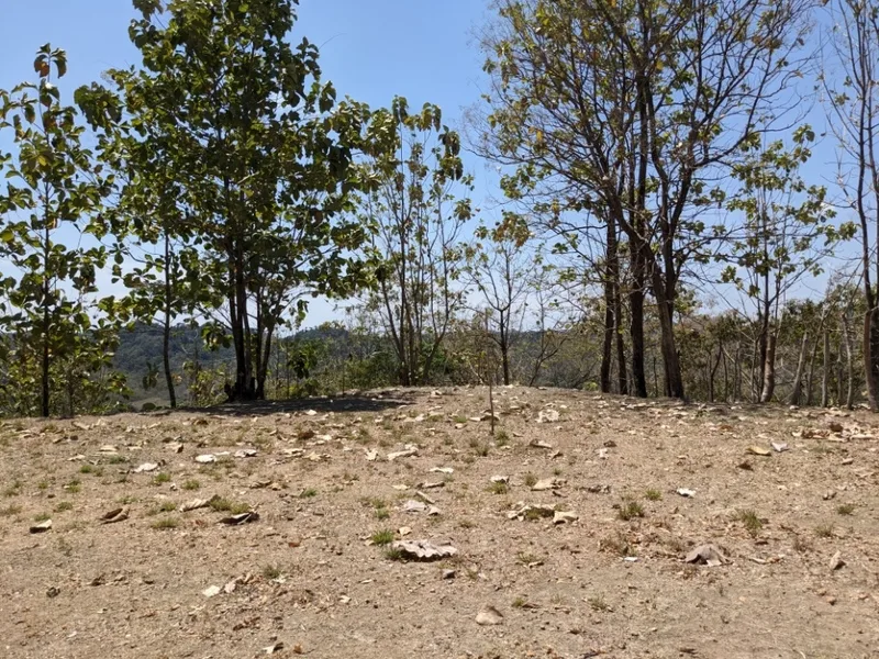Land For Sale in Paquera, photo 7