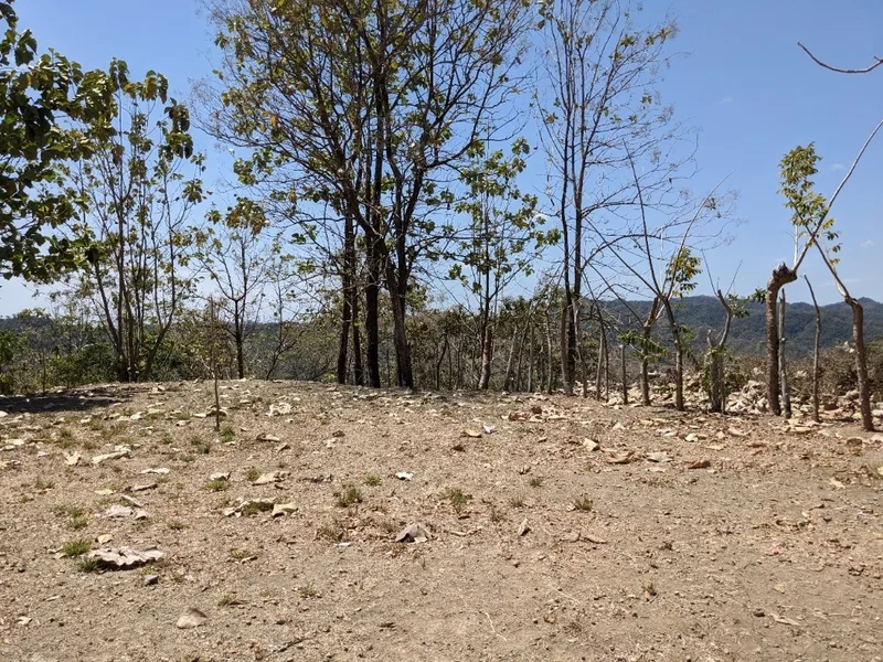Land For Sale in Paquera, photo 8