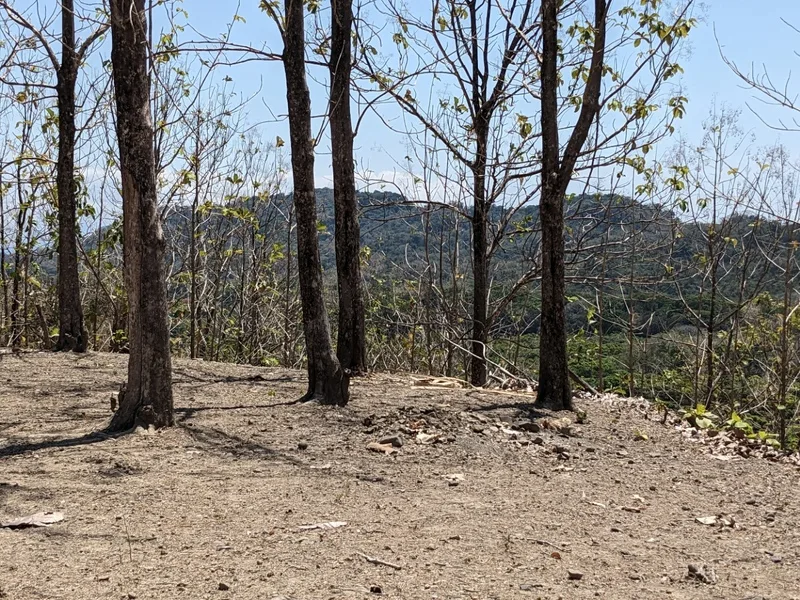Land For Sale in Paquera, photo 10