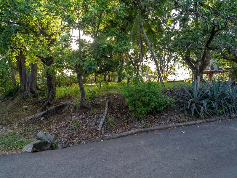 Land For Sale in Playa Carrillo, photo 5