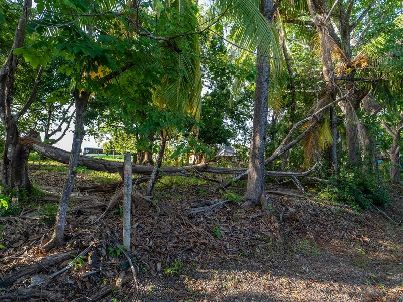 Land For Sale in Playa Carrillo, photo 8
