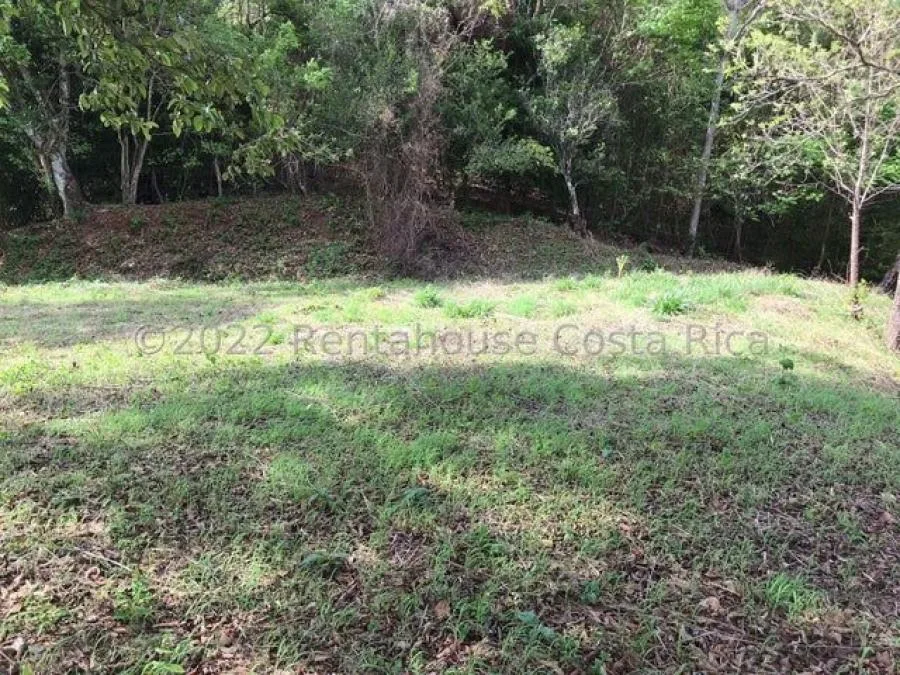 Venta de Lote en Turrubares, San José.  - Venta en Turrubares, photo 5