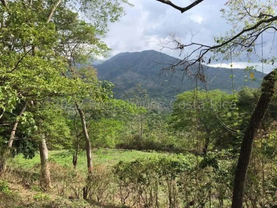 Venta de Lote en Turrubares, San José.  - Venta en Turrubares, photo 6