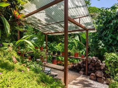 Where the Rainforest Meets the Sea - Ultra-Private Oceanview Luxury Estate, photo 9