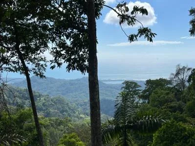 PROPERTY WITH SUNSET VIEW PUNTA MALA – 2.16 ACRES, photo 25