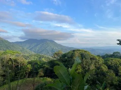 PROPERTY WITH SUNSET VIEW PUNTA MALA – 2.16 ACRES, photo 26