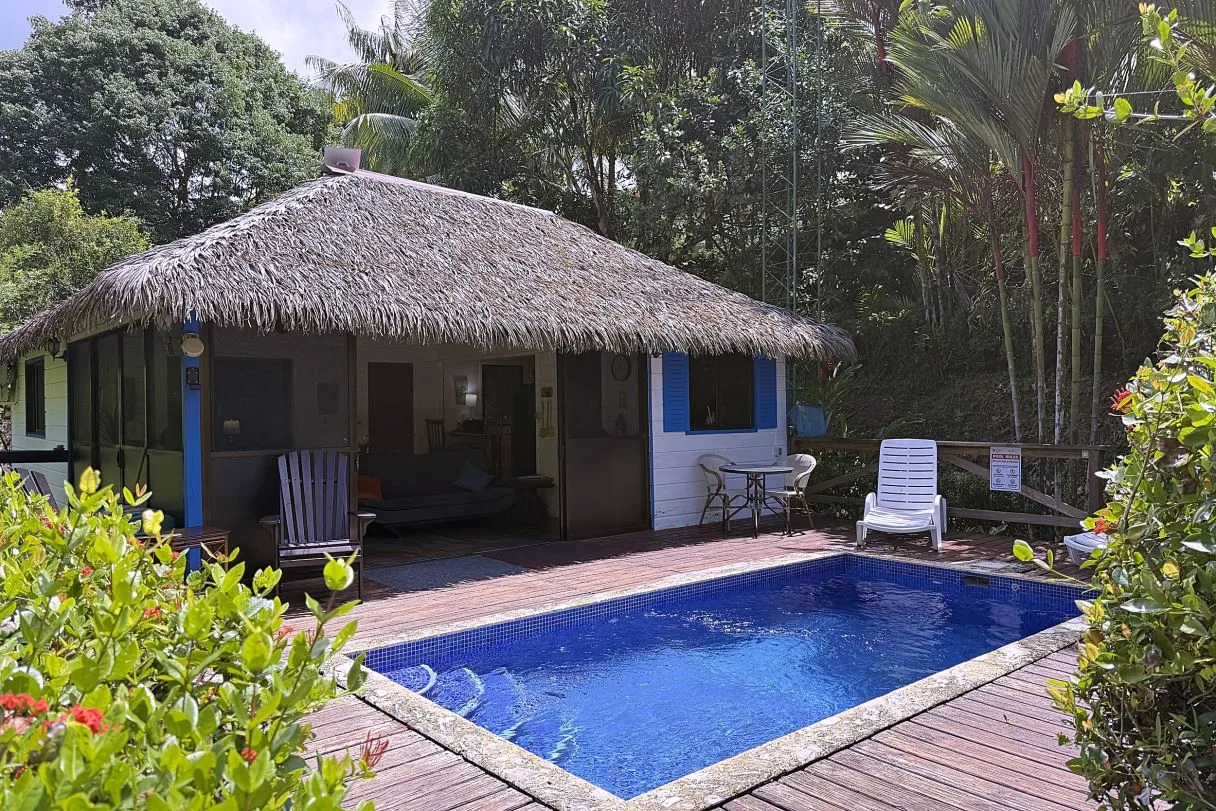 Gorgeous 1-Bedroom Natural Jungle Sanctuary with Private Pool Among the Trees just off Calle Tucan