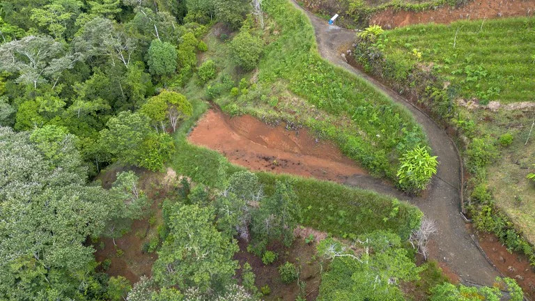 10.21 Acres with Views & Plantels – Pérez Zeledón, photo 2