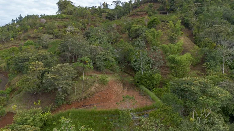 10.21 Acres with Views & Plantels – Pérez Zeledón, photo 11