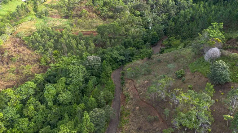 10.21 Acres with Views & Plantels – Pérez Zeledón, photo 12