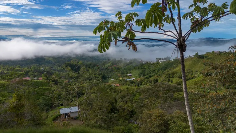 10.21 Acres with Views & Plantels – Pérez Zeledón, photo 13