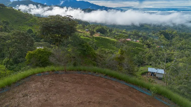 10.21 Acres with Views & Plantels – Pérez Zeledón, photo 14