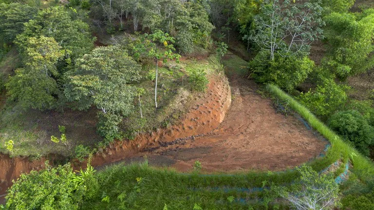 10.21 Acres with Views & Plantels – Pérez Zeledón, photo 15