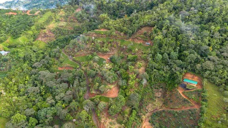 10.21 Acres with Views & Plantels – Pérez Zeledón, photo 4