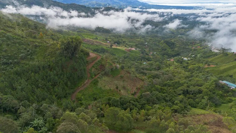 10.21 Acres with Views & Plantels – Pérez Zeledón, photo 5