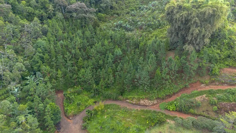 10.21 Acres with Views & Plantels – Pérez Zeledón, photo 7