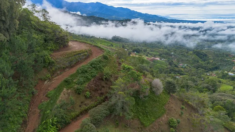 10.21 Acres with Views & Plantels – Pérez Zeledón, photo 8