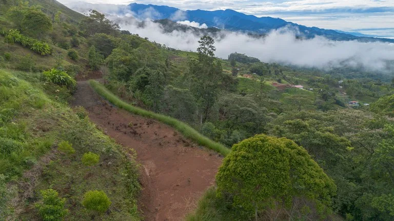 10.21 Acres with Views & Plantels – Pérez Zeledón, photo 9
