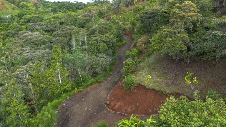 10.21 Acres with Views & Plantels – Pérez Zeledón, photo 10
