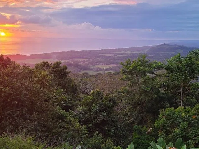 3 Bedroom Tropical Ocean View With Pool In Fabulous Rainforest Setting, photo 10