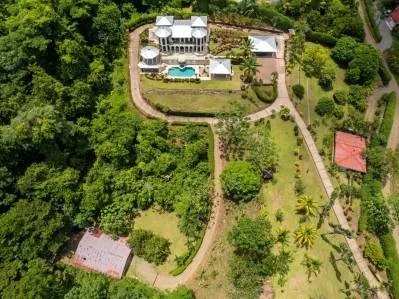 OCEAN VIEW ESTATE HOME WITH GUEST BUNGALOW, CARETAKER HOME, FRUIT TREES, AND WATERFALL – 3.47 ACRES, photo 28