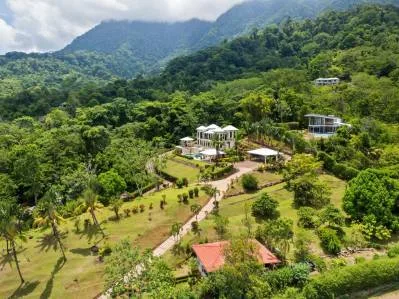 OCEAN VIEW ESTATE HOME WITH GUEST BUNGALOW, CARETAKER HOME, FRUIT TREES, AND WATERFALL – 3.47 ACRES, photo 30