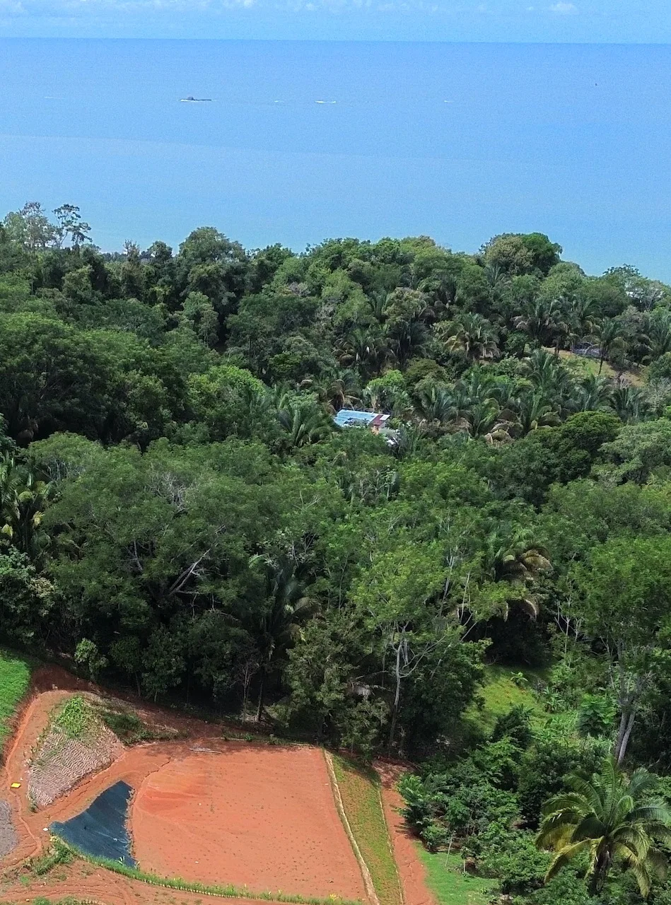 LOTS STARTING AT $250K NEAR UVITA, photo 9