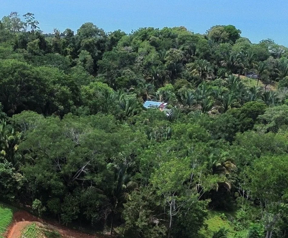 LOTS STARTING AT $250K NEAR UVITA, photo 10