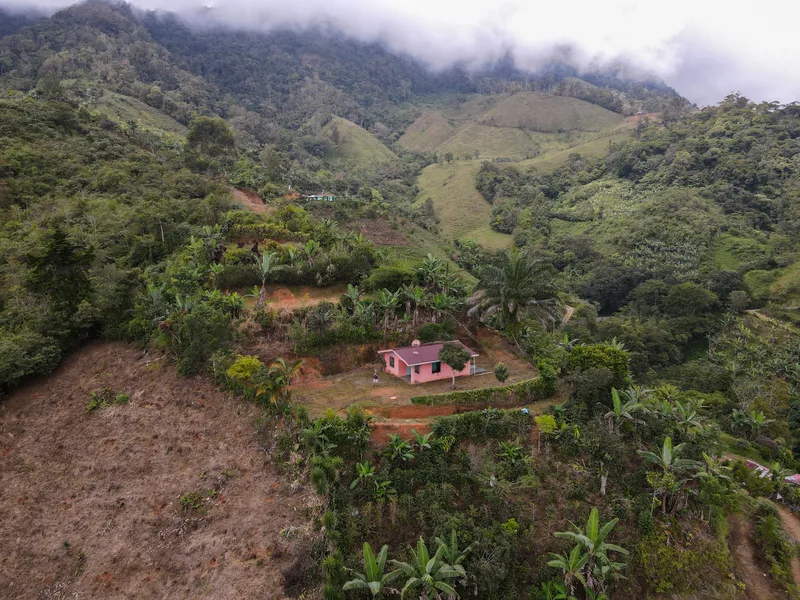 Land For Sale in Perez Zeledon