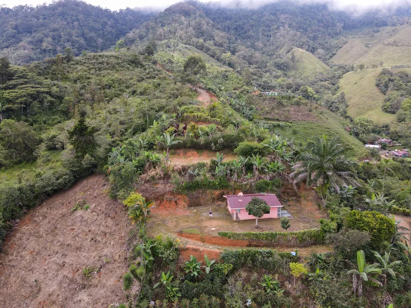 Land For Sale in Perez Zeledon, photo 7