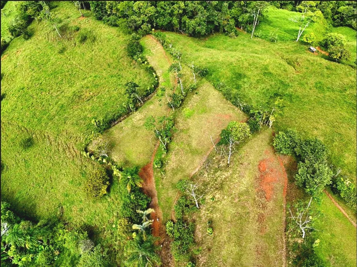 SE VENDE QUINTA EN MIRAVALLES CON HERMOSAS VISTAS Y PLANTEL LISTO PARA CONSTRUIR - Venta en Pérez Zeledón