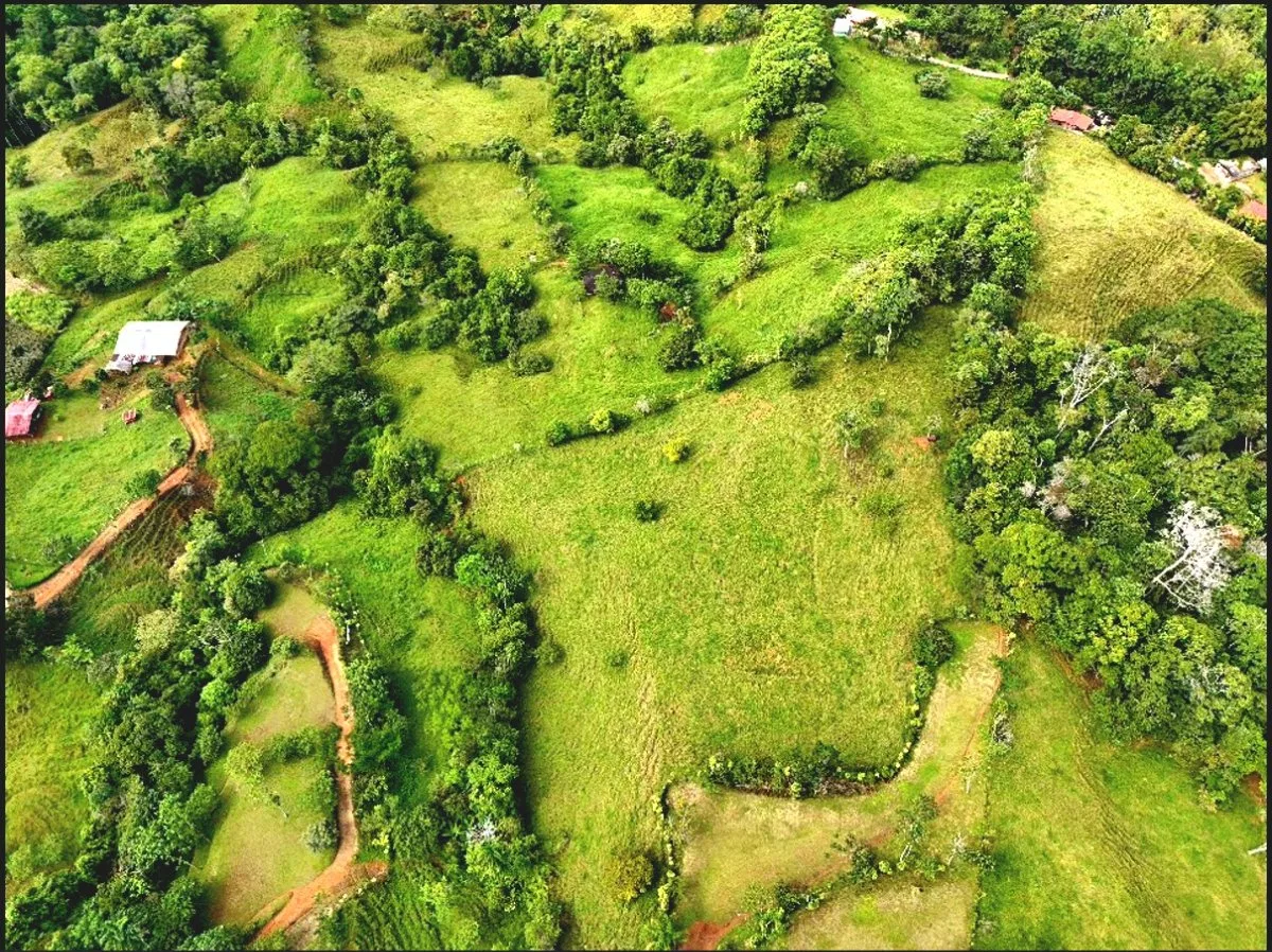 SE VENDE QUINTA EN MIRAVALLES CON HERMOSAS VISTAS Y PLANTEL LISTO PARA CONSTRUIR - Venta en Pérez Zeledón, photo 3