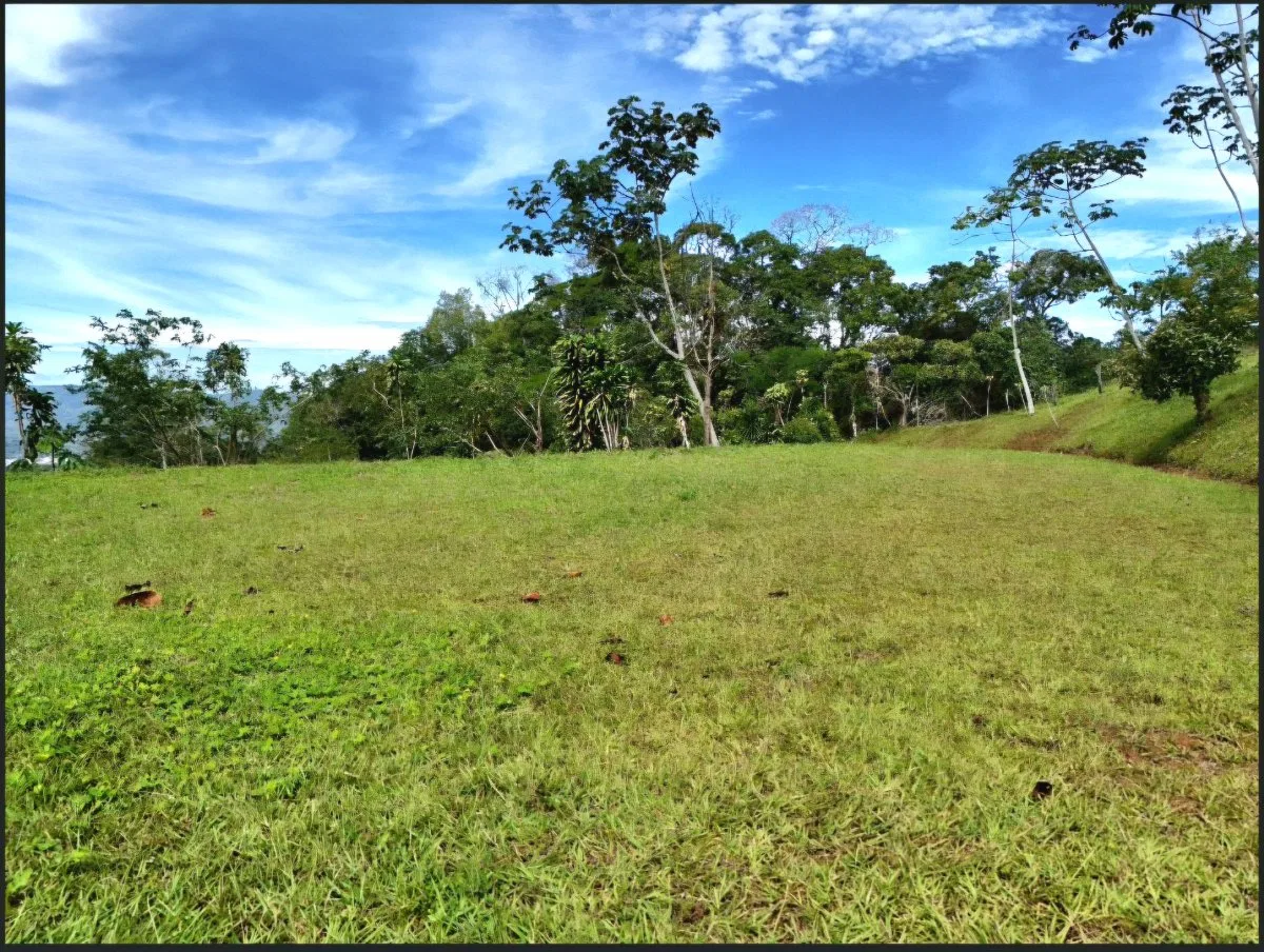 SE VENDE QUINTA EN MIRAVALLES CON HERMOSAS VISTAS Y PLANTEL LISTO PARA CONSTRUIR - Venta en Pérez Zeledón, photo 5