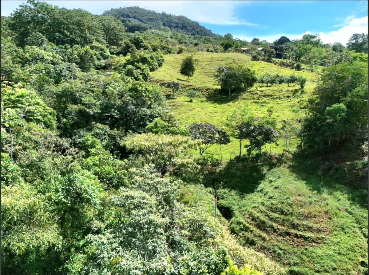 SE VENDE QUINTA EN MIRAVALLES CON HERMOSAS VISTAS Y PLANTEL LISTO PARA CONSTRUIR - Venta en Pérez Zeledón, photo 6