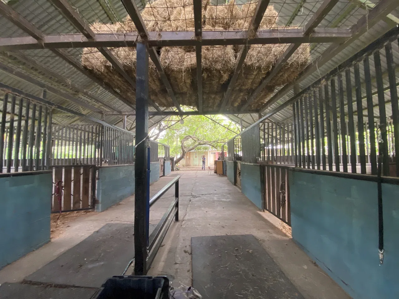Five Hectares of Prime Development Opportunity Residential And Commercial Walk To Beach Near Flamingo Marina, Flamingo, Guanacaste, Costa Rica 50308