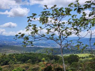 Finca 2 con las mejores vistas., photo 5