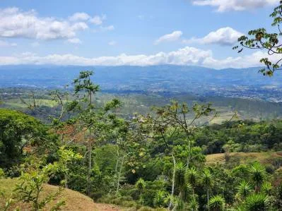 Finca 2 con las mejores vistas., photo 7