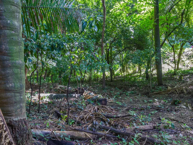 Land For Sale in Playa Guiones, photo 2