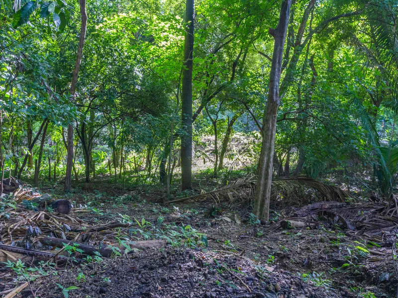 Land For Sale in Playa Guiones, photo 3