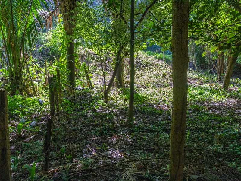 Land For Sale in Playa Guiones, photo 4