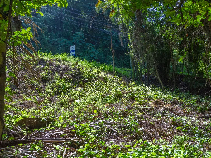 Land For Sale in Playa Guiones, photo 5