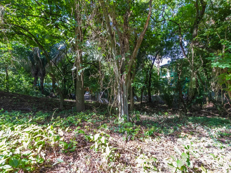 Land For Sale in Playa Guiones, photo 6