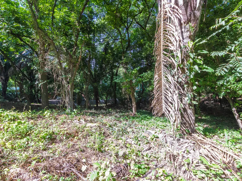 Land For Sale in Playa Guiones, photo 7