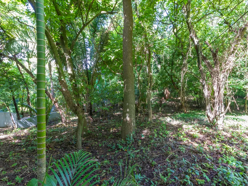 Land For Sale in Playa Guiones, photo 8