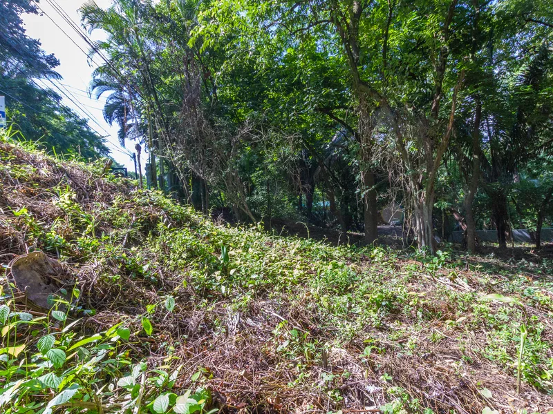 Land For Sale in Playa Guiones, photo 9