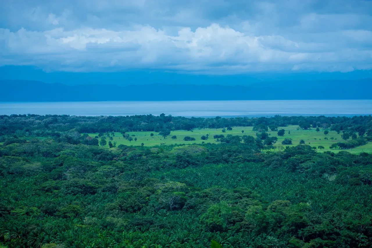 Ocean View Property Osa Peninsula Costa Rica – 1,095 Acres Near Corcovado - REMAX Jungle Properties | Pavones Golfito Real Estate